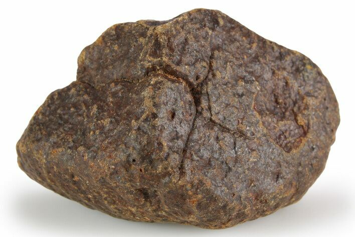 Chondrite Meteorite ( g) - Unclassified NWA #256604